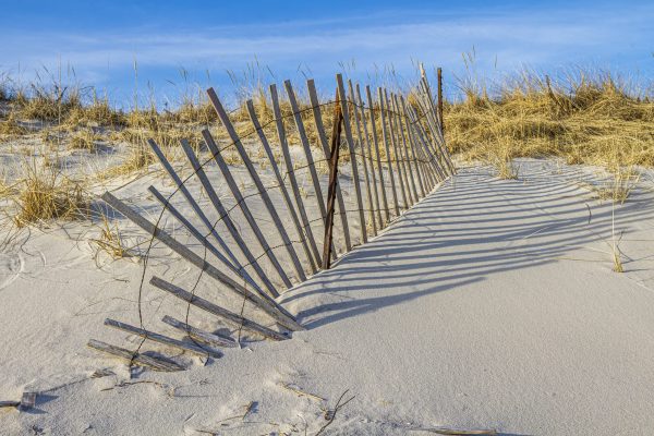 Storm fencing protects the fragile dunes against the ravages of winter surf. Our dunes are all that