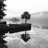 Palm tree reflection – Lago di Orta 109 Palm tree reflection off of Lago di Orta. The island of San Giulio in the background.