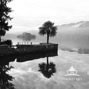 Palm tree reflection – Lago di Orta 103 Palm tree reflection off of Lago di Orta. The island of San Giulio in the background.