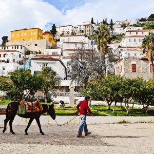 A man and his horse walking past the homes on the island of Hydra, Greece.