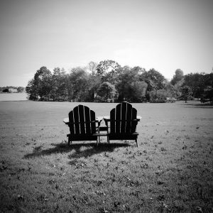 Empty Adirondack Chair in the middle of the lawn of Bayard Cutting Aboretum. Great River, NY.
