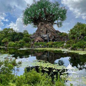 Tree of life 67 I like the combination to he clouds with the green colors.