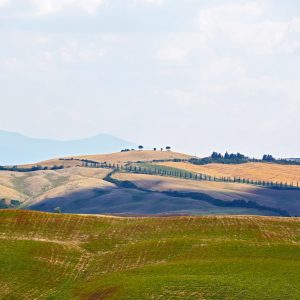Tuscan Landscape featuring hills and vineyards. Tuscany, Italy.