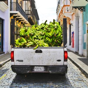 Green bananas in the back of a truck in the streets of Old San Juan, Puerto Rico.