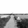 Edgartown Harbor Lighthouse - Martha's Vineyard (B&W) 29 The path to the Edgartown Harbor Lighthouse. Martha's Vineyard.