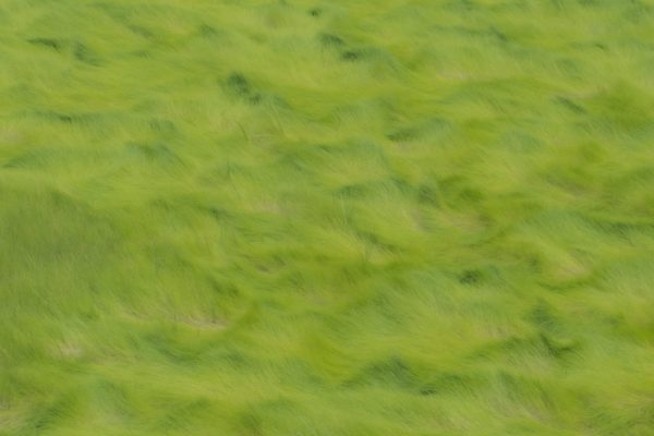 An abstract view of a salt marsh along the coast of Cape Cod, Ma. The contrast in tones creates the