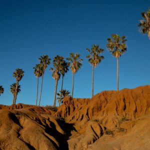 Sunset at Sunset Cliffs in San Diego, CA. I was sitting on the rocks on the cliffs watching the