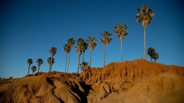 Sunset at Sunset Cliffs in San Diego, CA. I was sitting on the rocks on the cliffs watching the