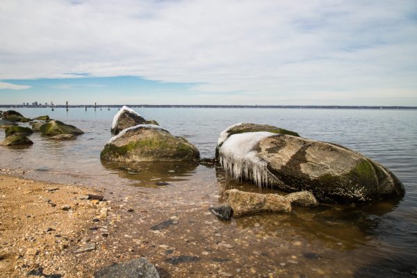 I always feel lucky when I find ice on salt water. These icicles formed on all the boulders here at