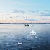 Sailboat and Swan 35 Sailboat and swan enjoying sunset time in Rockaway Beach, Queens, New York.