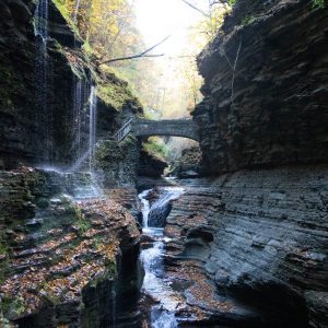 One of the 19 waterfalls on the Gorge Trail at Watkins Glen State Park.