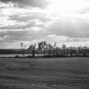This sky appeared out of no where on a back road in Geneseo, NY. I love the contrast of the bright