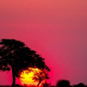 The smoke from local fires meant that the color of the sky turned a deep red as the sunset.