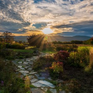 As the sun was rising we saw many different opportunities to photograph the landscape. One area
