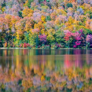 Beauty as far as the eye can see in the mountains of Vermont. The sun was at a perfect position to