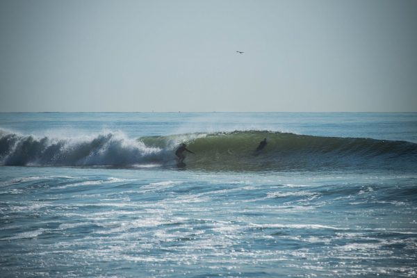 Some surfing photos from a day at the Gilgo 4x4 Beach. Caught this guy getting barreled and he was