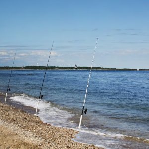 Three fishing rods set up for the catches of the day, beachside in Orient Point.