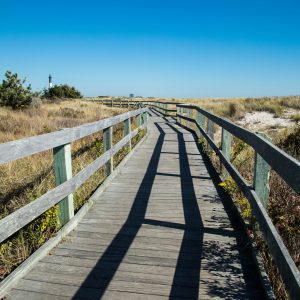 A gorgeous, warm fall day in October--perfect day for the Fire Island Lighthouse Walk. I've never