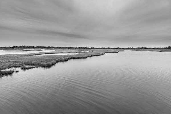 The Assateague Island National Seashore is home to some of the most breathtaking and serene marshes