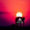 A painterly approach to an elephant walking into the sunset in Botswana.