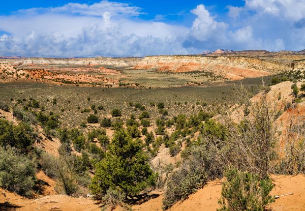 Kodachrome Basin is a colorful conglomeration of sandstone formations just north of the Utah-Arizona