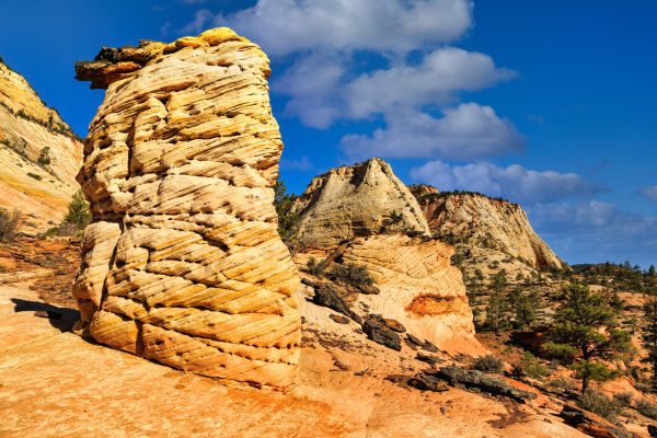 Against a cobalt blue autumn morning sky, the colors of Navajo and kayenta sandstone in Zion seem to