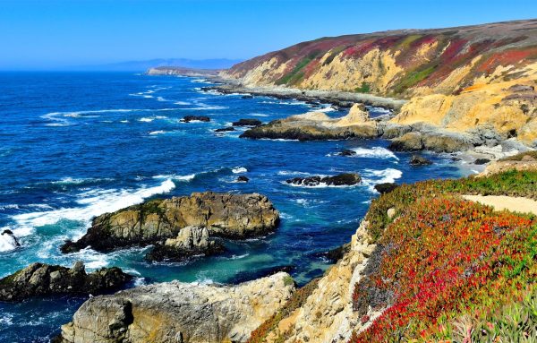 Beautiful day on the coast of northern Calif.