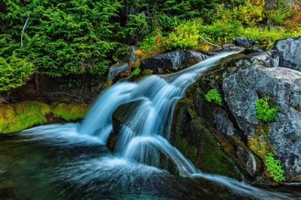 One of many picturesque small waterfalls on the Paradise River in Mt. Rainier National Park,