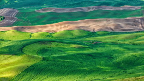 When does a landscape image become something more? When you dig deeper and find a composition that