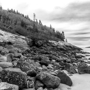 Along the coastline of Acadia, boulders tumble down the sloping hillside.