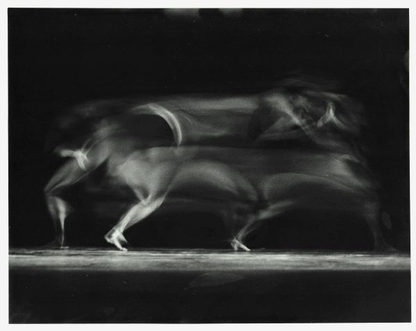 This is a time lapse photo taken of dancers performing. I shot this while in College using A Cannon