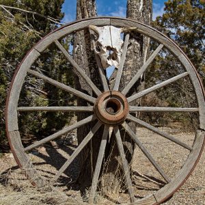 Part of my "Ranch Life" series, northern New Mexico.