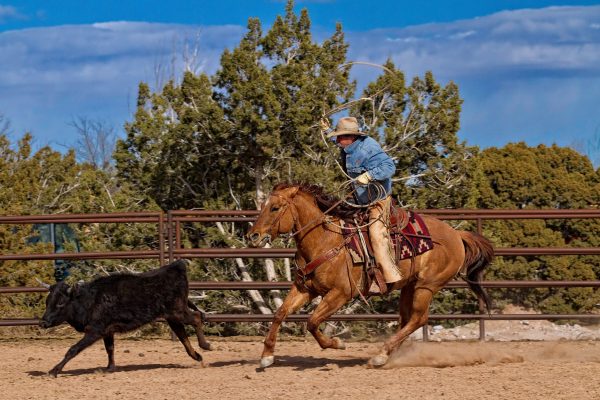 My personal favorite shot of my time spent creating images at Rick Iannucci's ranch in northeast
