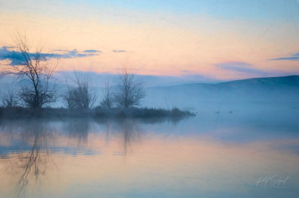 "Tranquil Dawn Reverie" is a serene and tranquil landscape photograph that captures the quiet
