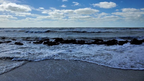 The Gulf of Mexico enjoyed from Caspersen Beach, FL