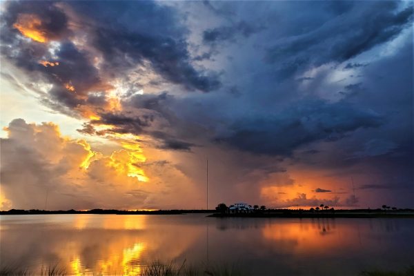 This image was captured minutes after a Summer cloudburst in South West Florida. The mist in the