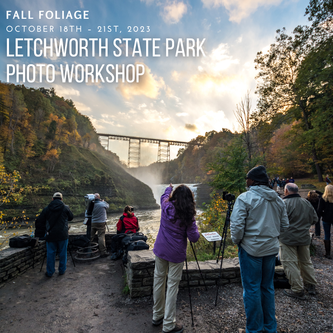 Capture the Magic: Unleash Your Inner Photographer at Letchworth State Park! 5 2023 Letchworth NY fall foliage photo workshop by Photo Art Pavilion