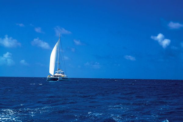 In what had been a largely windless trip, our catamaran and our companion ship finally found wind as