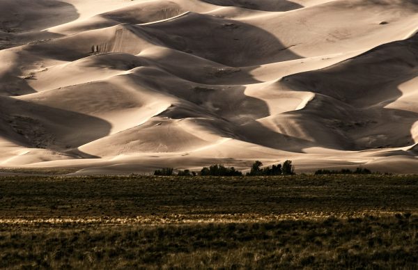 Afternoon shot of the dunes