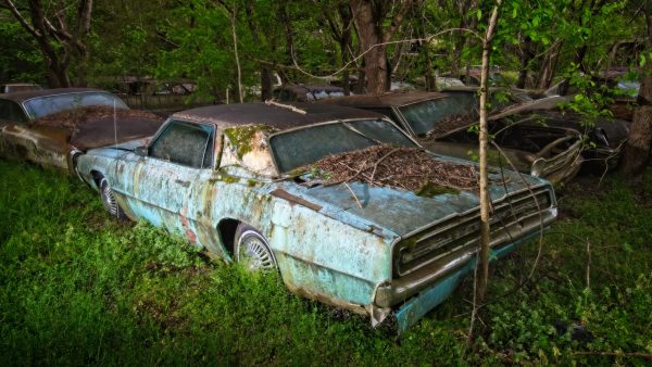 Located in White, GA, Old Car City is a collection of classic cars embedded in the surrounding