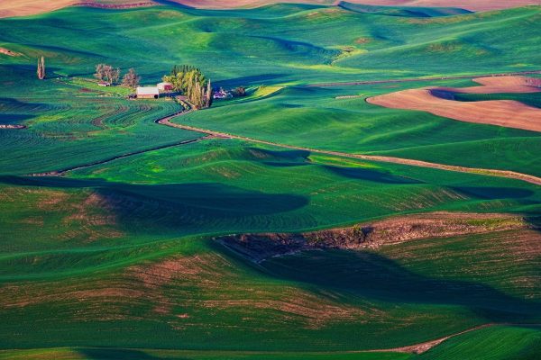 Palouse fields.