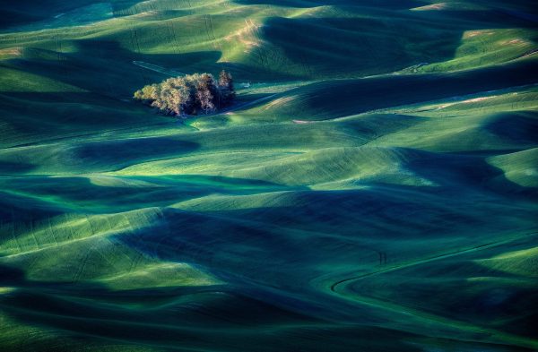 Palouse fields - View from Steptoe Butte State Park.