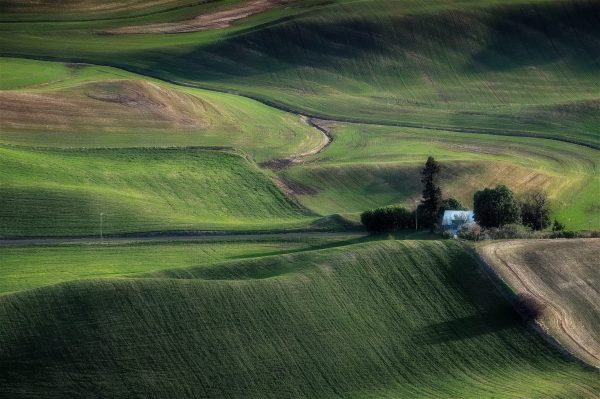 Palouse Farmhouse. View from Steptoe Butte State Park.