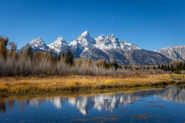 Just a spectacular view of the Tetons reflecting in the Snake River within Grand Teton National