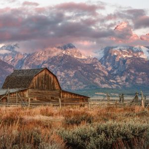 Early morning at Mormon Row in Grand Teton National Park, Wyoming yielded an iconic view of the