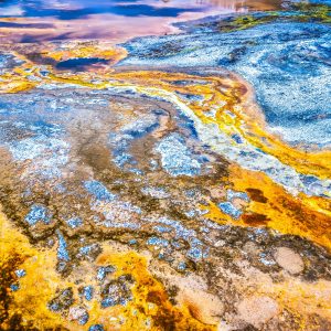 Many of the bright colors found in Yellowstone's hydrothermal basins come from