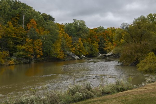The bedrock of the Black River forms the backbone of Cascade Park. The bedrock was formed more than