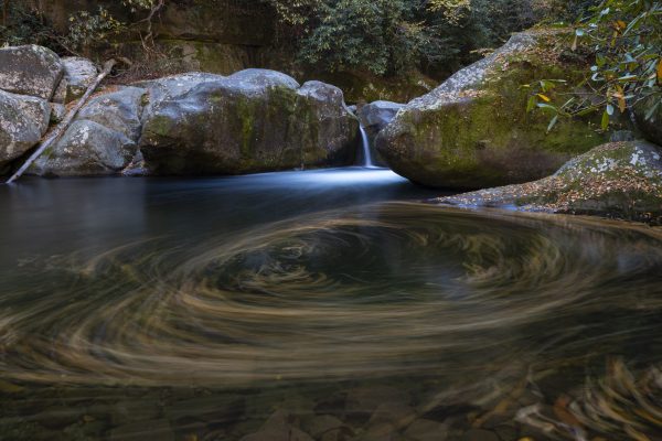 Gentle swirls of leaves in the pool of Midnight Hole along Big Creek in Great Smoky Mountains