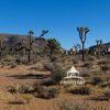 Joshua Tree National Park sits in the California desert just north of Palm Springs and a mere 2 1/2