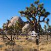 Joshua Tree National Park sits in the California desert just north of Palm Springs and a mere 2 1/2